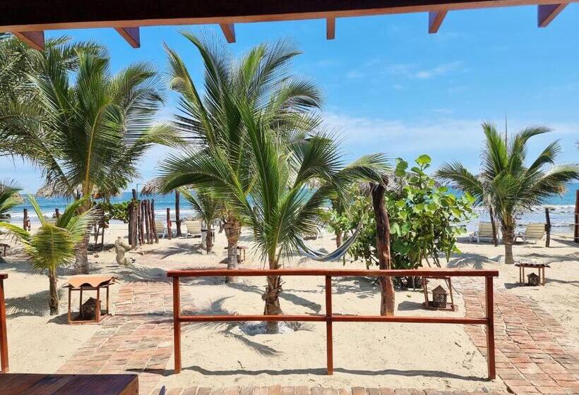 Отель Punta Del Norte Bungalows