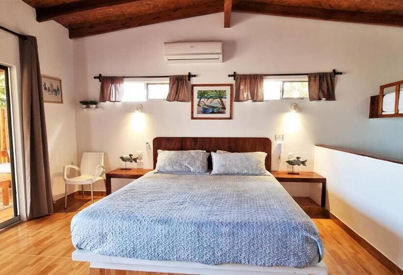 Отель Punta Del Norte Bungalows