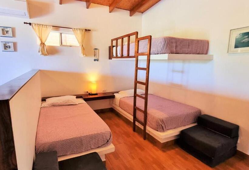 Отель Punta Del Norte Bungalows