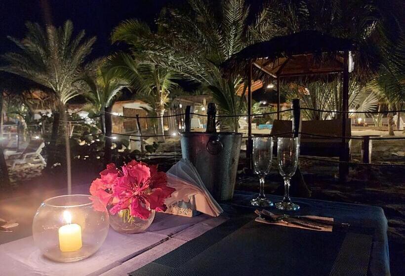 Отель Punta Del Norte Bungalows