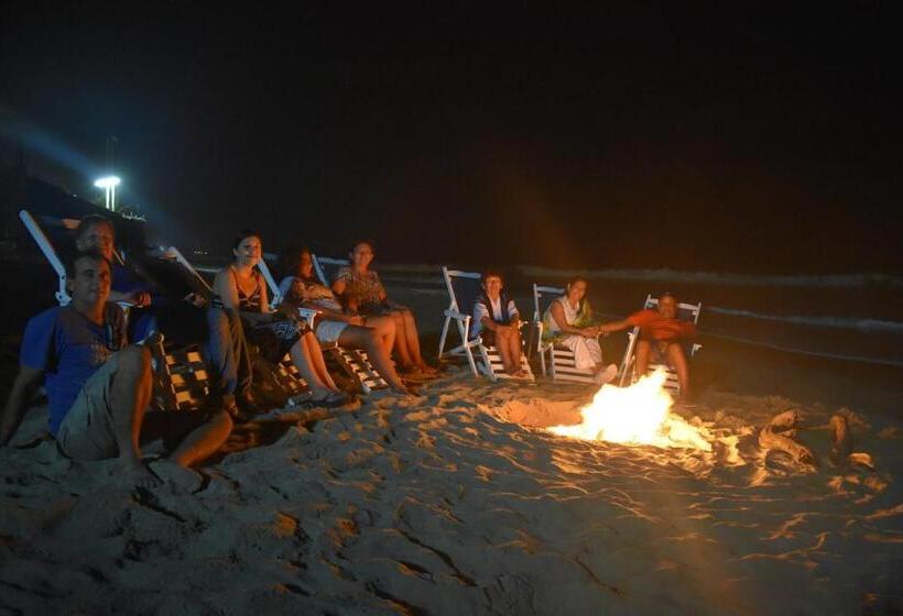 Отель Punta Del Norte Bungalows