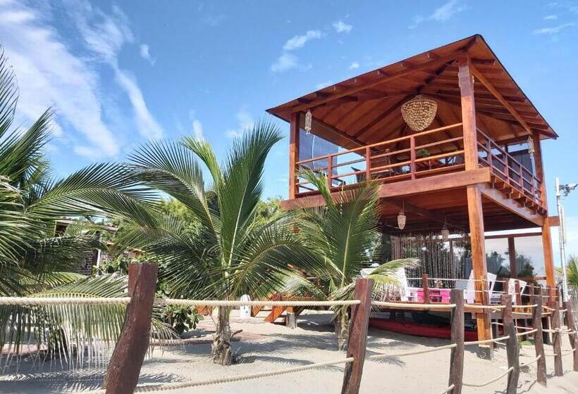 Отель Punta Del Norte Bungalows