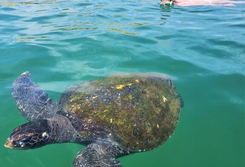 Отель Punta Del Norte Bungalows