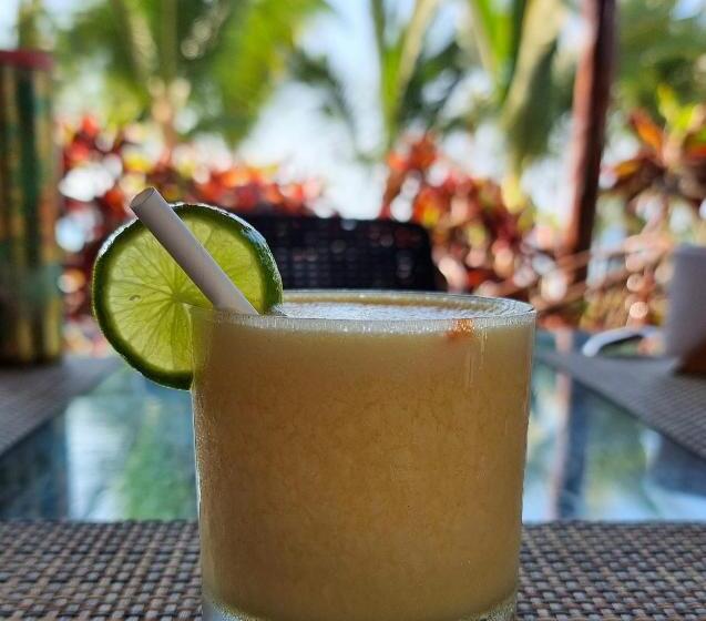 Отель Punta Del Norte Bungalows