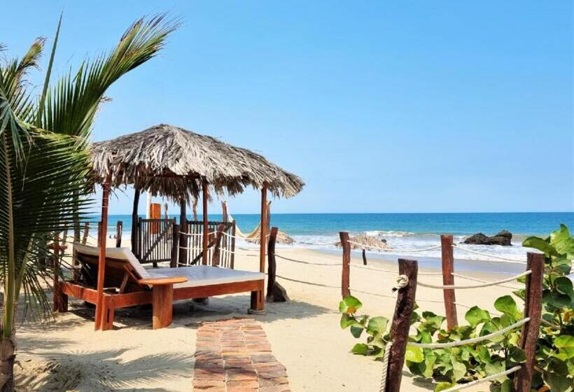 Отель Punta Del Norte Bungalows