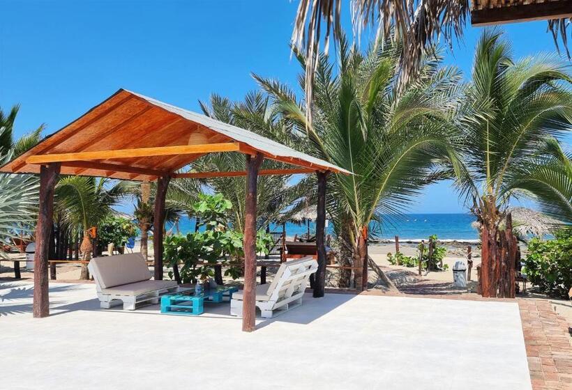 Отель Punta Del Norte Bungalows