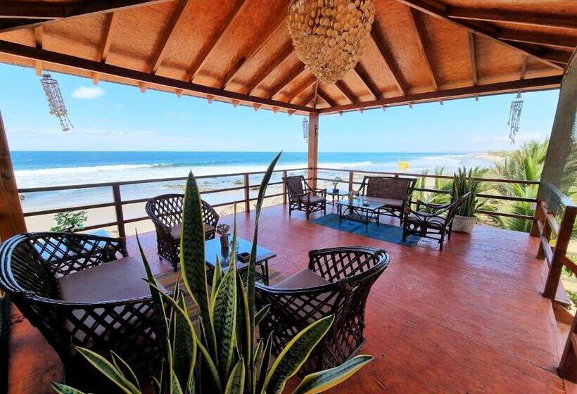 Отель Punta Del Norte Bungalows