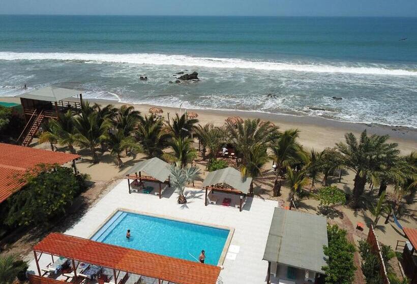 Отель Punta Del Norte Bungalows