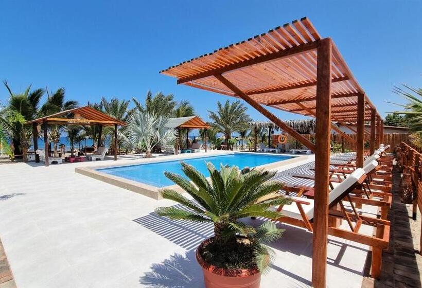 Отель Punta Del Norte Bungalows