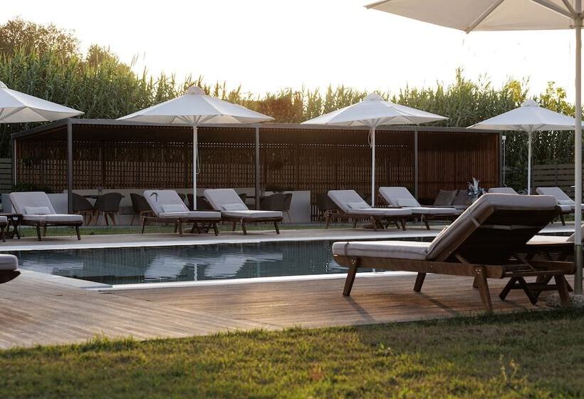 هتل V Luxury Suites