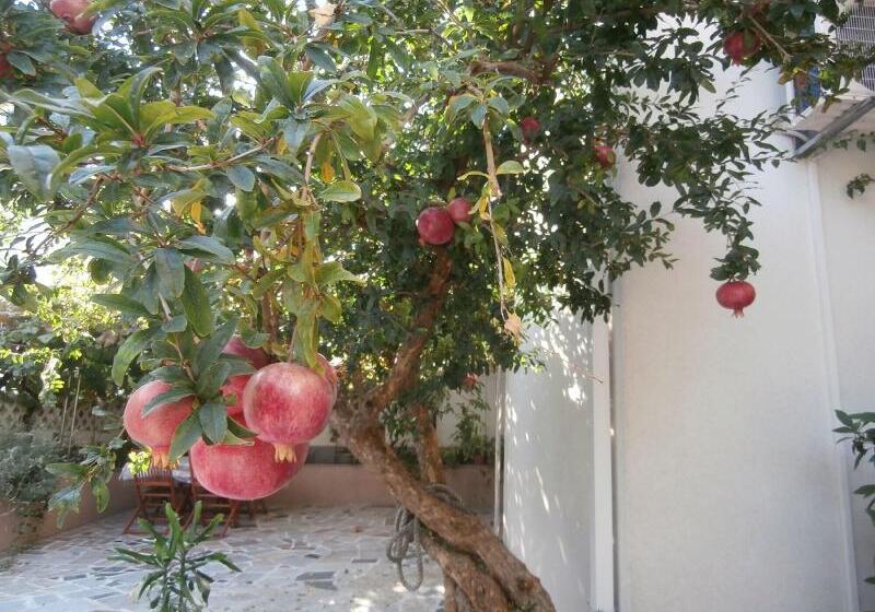 Пансион Apartments Song