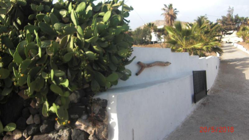 Pensió Loukas Kontos Traditional House