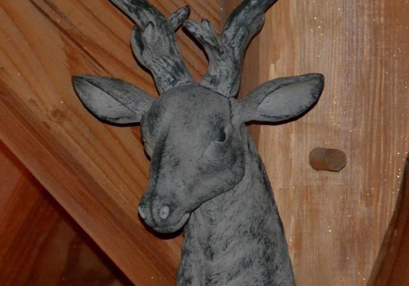 פנסיון Le Cerf Che  Near Aravet Gondola