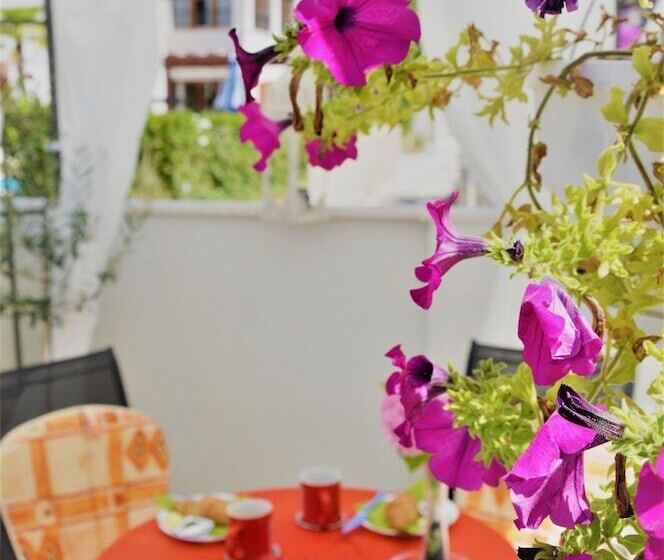 بنسيون Rooms Anna