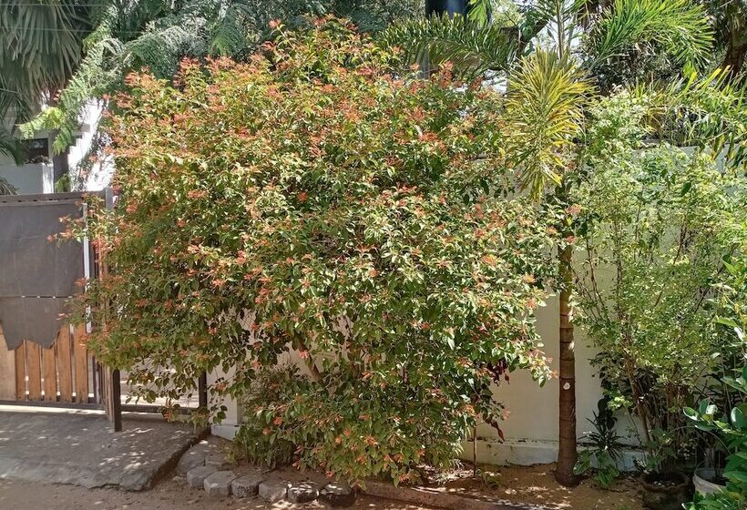 بنسيون Surf & Relax Inn Arugambay