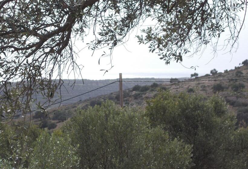 פנסיון To Spiti Tou Papa Sto Vouno