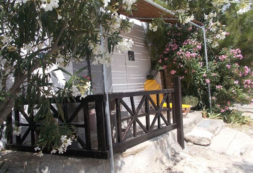 פנסיון To Spiti Tou Papa Sto Vouno