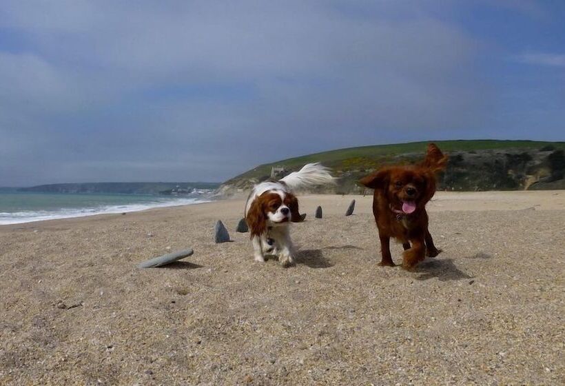 إقامة Cosy Cottage