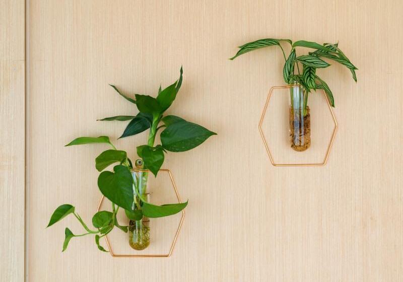 Отель Greentree Inn Jiangsu Wuxi Nanchang Walking Street Tongyang Road Business