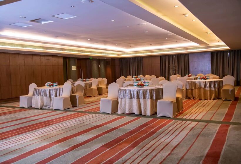 酒店 Ramada Plaza By Wyndham Pune Hinjewadi