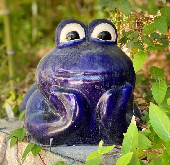 مبيت وإفطار Cabañas Caballieri