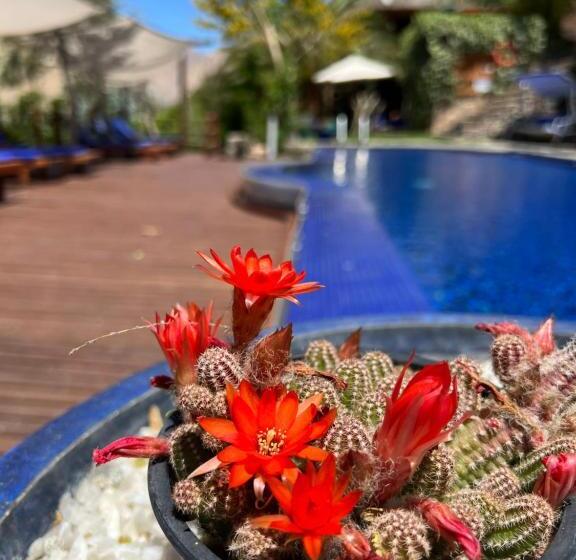 مبيت وإفطار Cabañas Caballieri