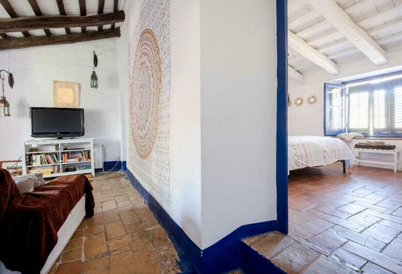 Bed and Breakfast Little Vine