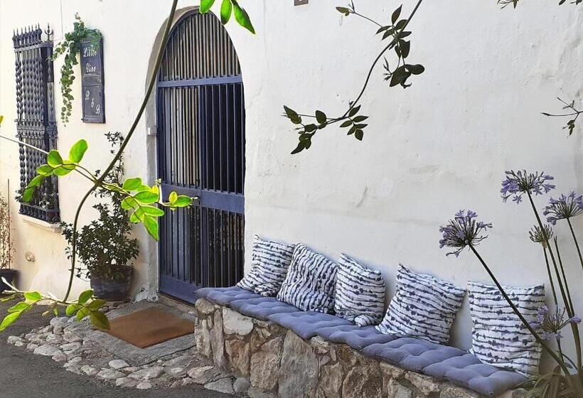 Bed and Breakfast Little Vine