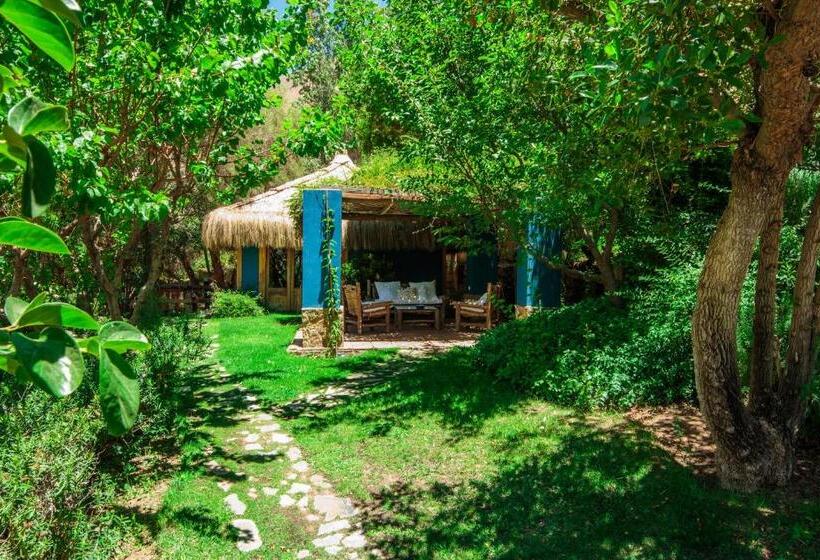 住宿加早餐 Refugio Misterios Del Elqui