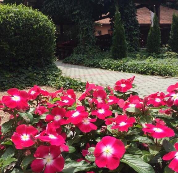 تختخواب و صبحانه Szépasszony Fogadó