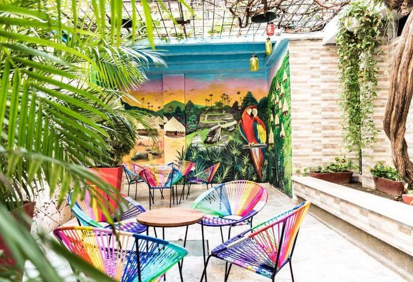 Отель Fundacooedumag Centro