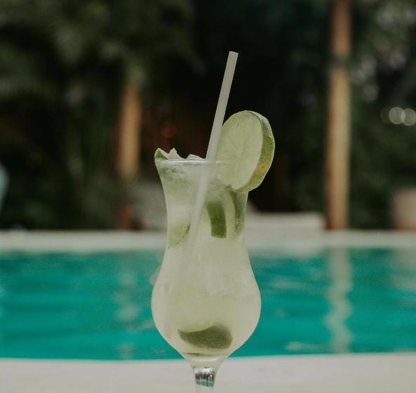 בית מלון כפרי Pousada Jardim Do Vento