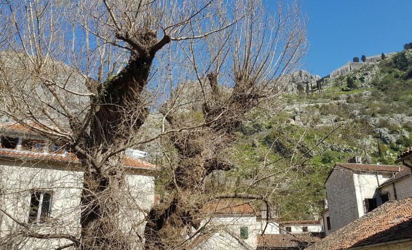 پانسیون Guesthouse Nikoleta