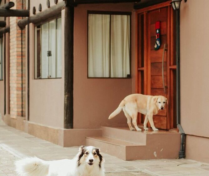 펜션 Pousada Das Araucarias