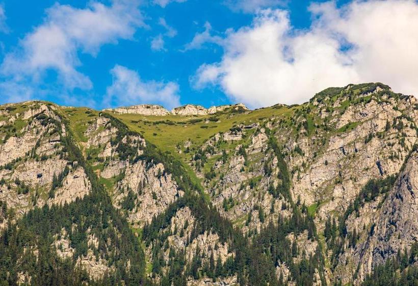 Yael Luxury Apartments 3