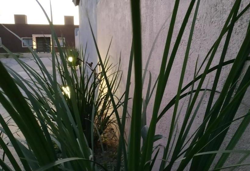 Ayres De Merlo Aparts