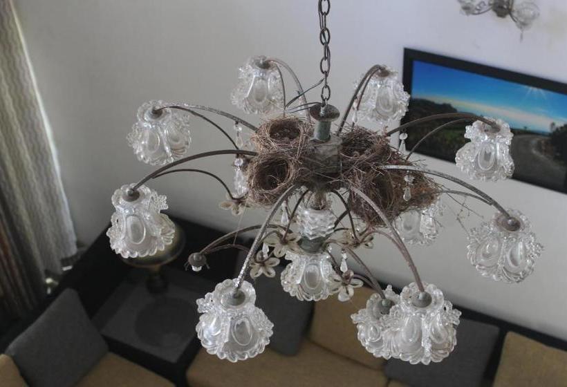 住宿加早餐  Bird S Nest By Natures Bliss