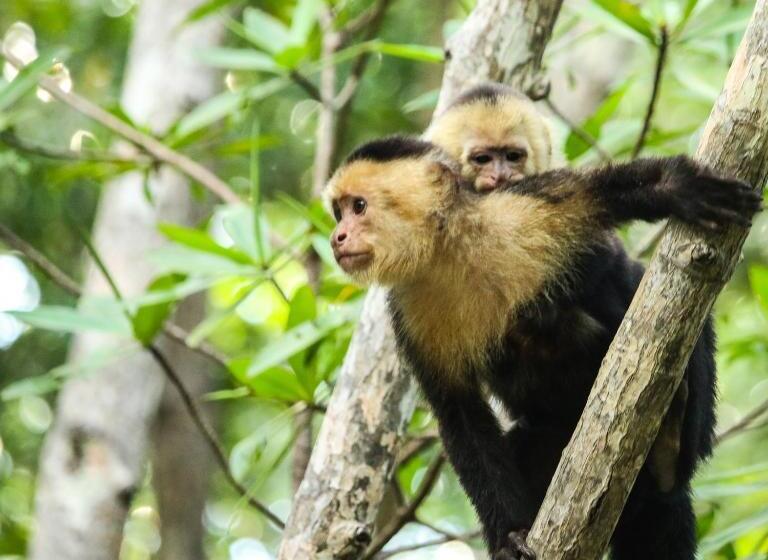 فندق El Paraiso Azul