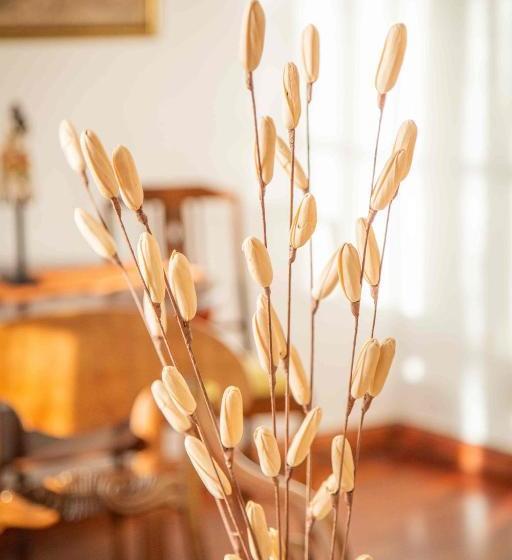 فندق Villa Victoria De Tigre