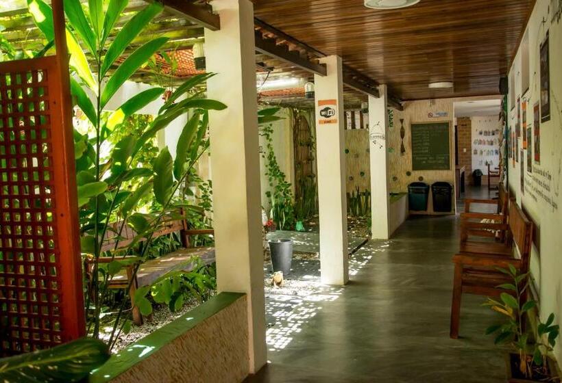 Пансион Casa Do Sertão   Vila Aju