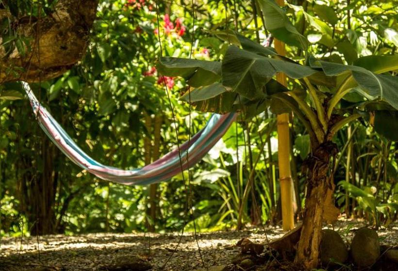 膳宿费 Casa Tucanes