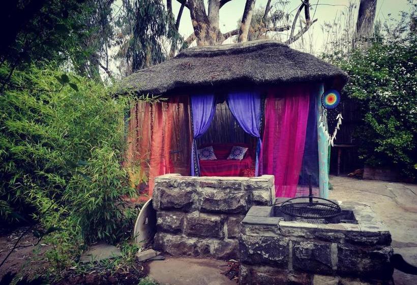 بنسيون Gypsy Guest House Clarens