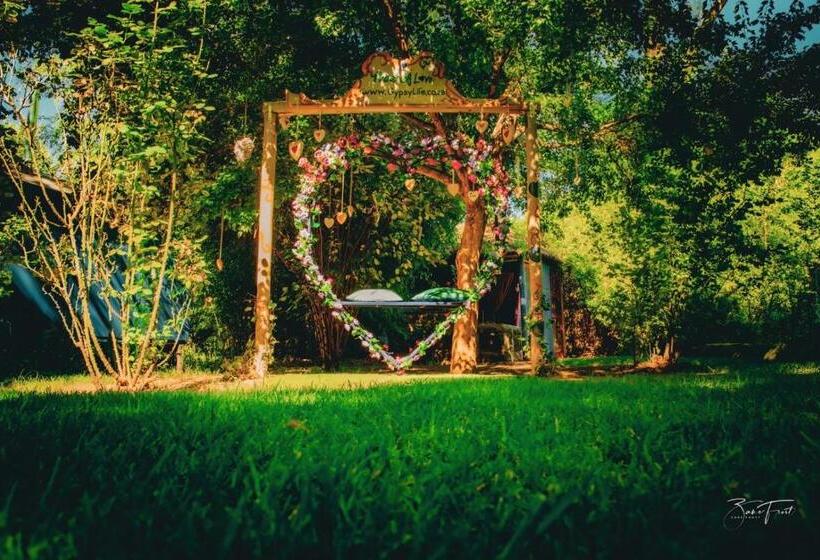 بنسيون Gypsy Guest House Clarens