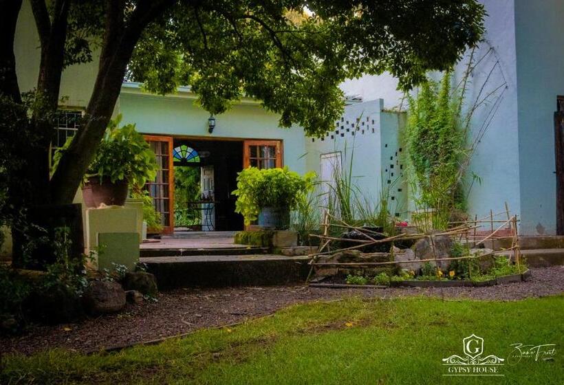 بنسيون Gypsy Guest House Clarens