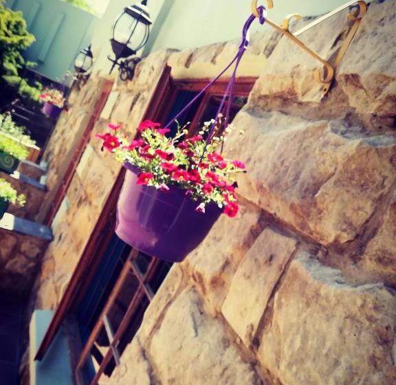 بنسيون Gypsy Guest House Clarens