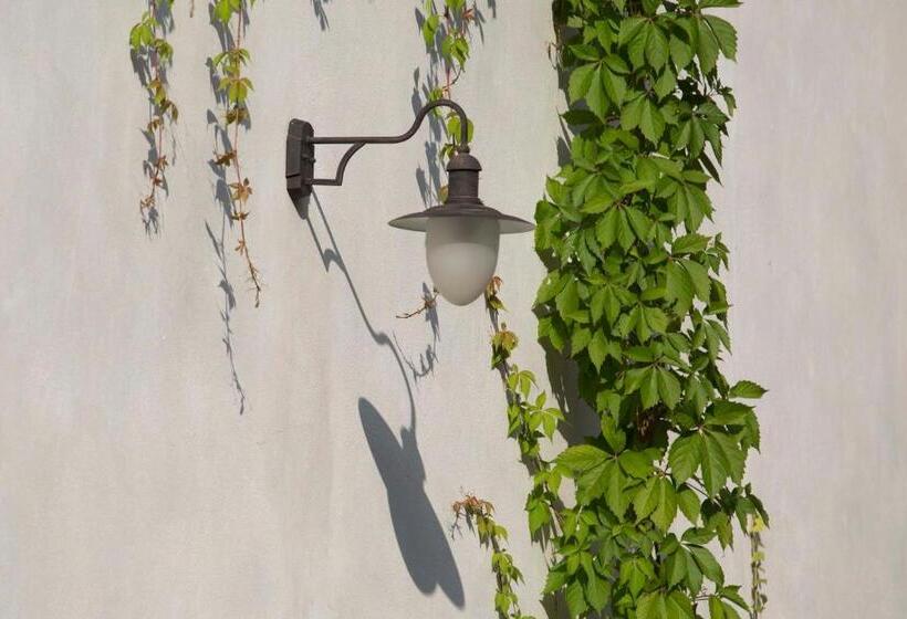 Пансион Jules Home