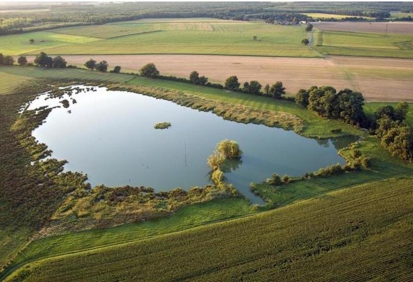 ペンション Au Milieu De Nulle Part Chambres D Hotes Au Lac Du Der