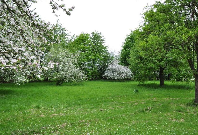 ペンション Au Milieu De Nulle Part Chambres D Hotes Au Lac Du Der