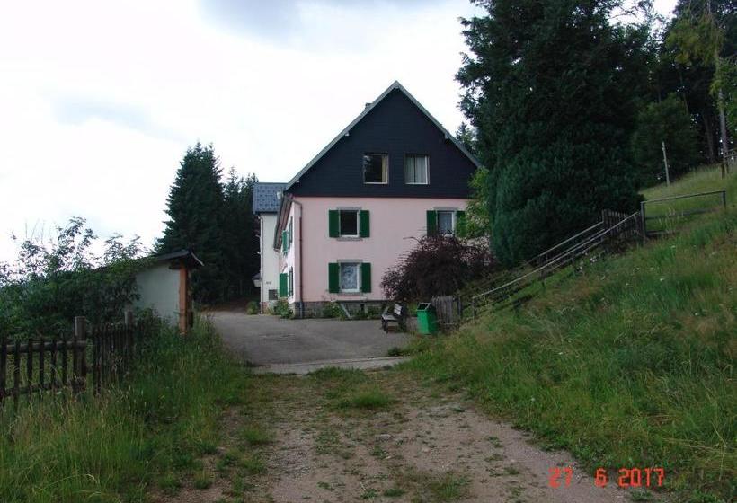 פנסיון Les ô Welches Côté Lac