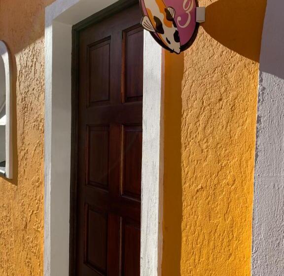 بنسيون One More Nap Self Catering